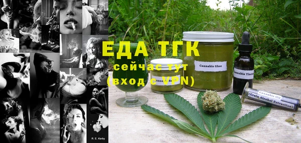 крисы Абаза