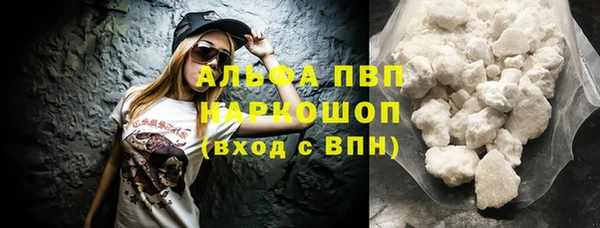 дмт Каменка