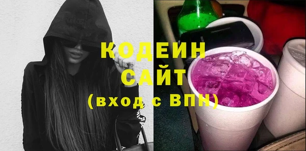 крисы Абаза