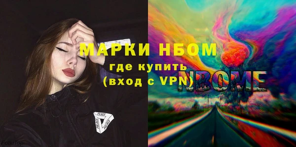 хмурый Алзамай